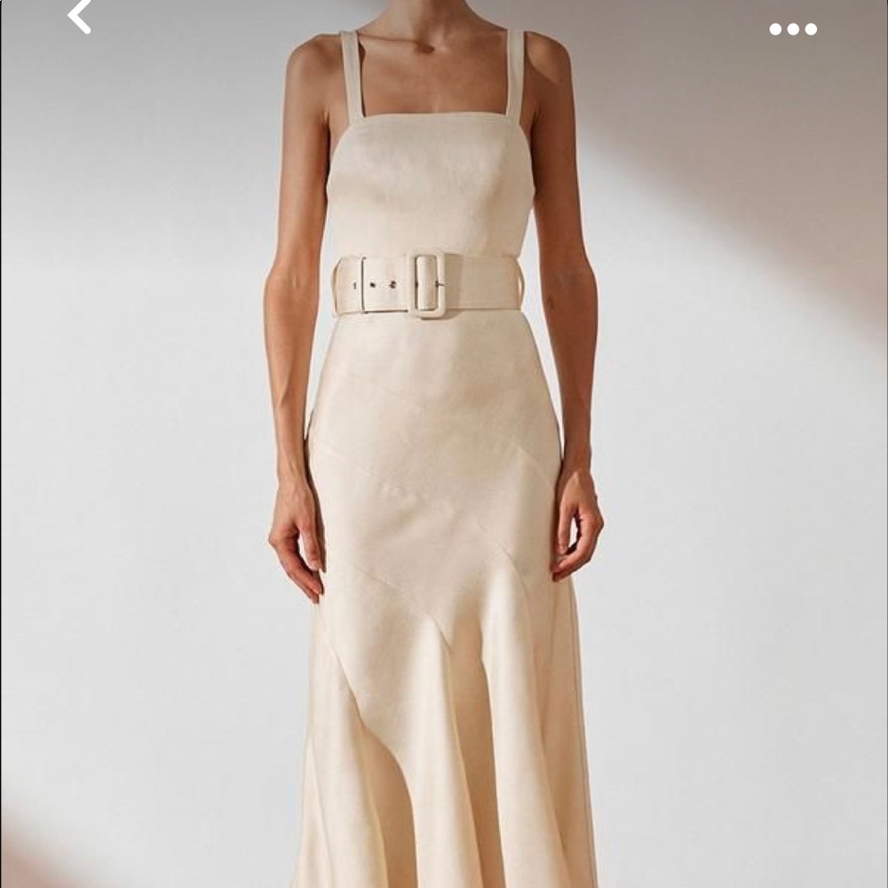 NWT SHONA JOY Ellington Dress - Lined